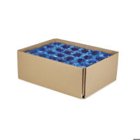80244 Schulstad Mini Raspberry Crown Danish Pastry Inner Case