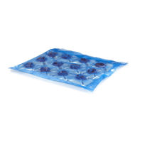 6103 Schulstad Raspberry Crown Danish Pastry Inner Bag