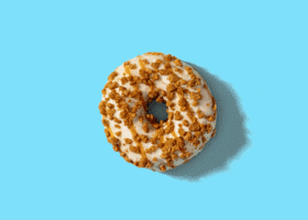 228289 Schulstad Cookie Butter Filled Ring Donut Bites