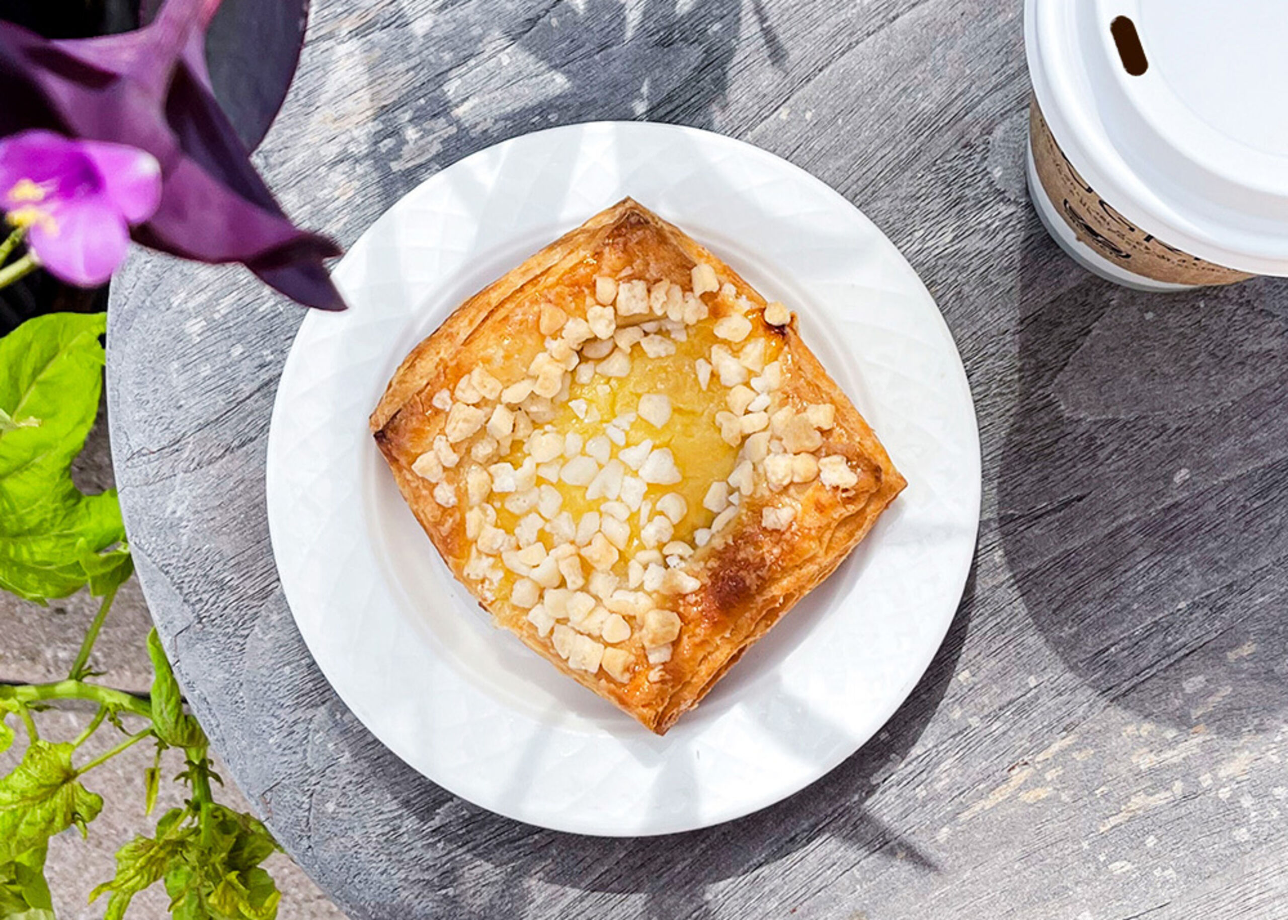 225828 Sicilian Lemon Meringue Square Danish Platedjpg