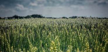 Baking for Better Climate