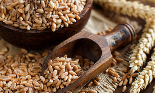 Unibake USA Celebrates Whole Grain Day.jpg