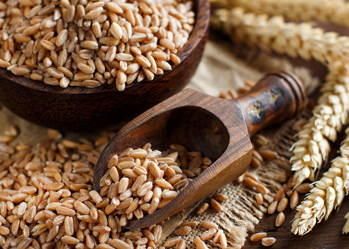 Unibake USA Celebrates Whole Grain Day.jpg