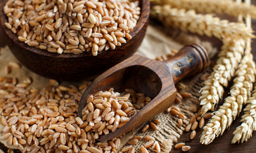 Unibake USA Celebrates Whole Grain Day.jpg