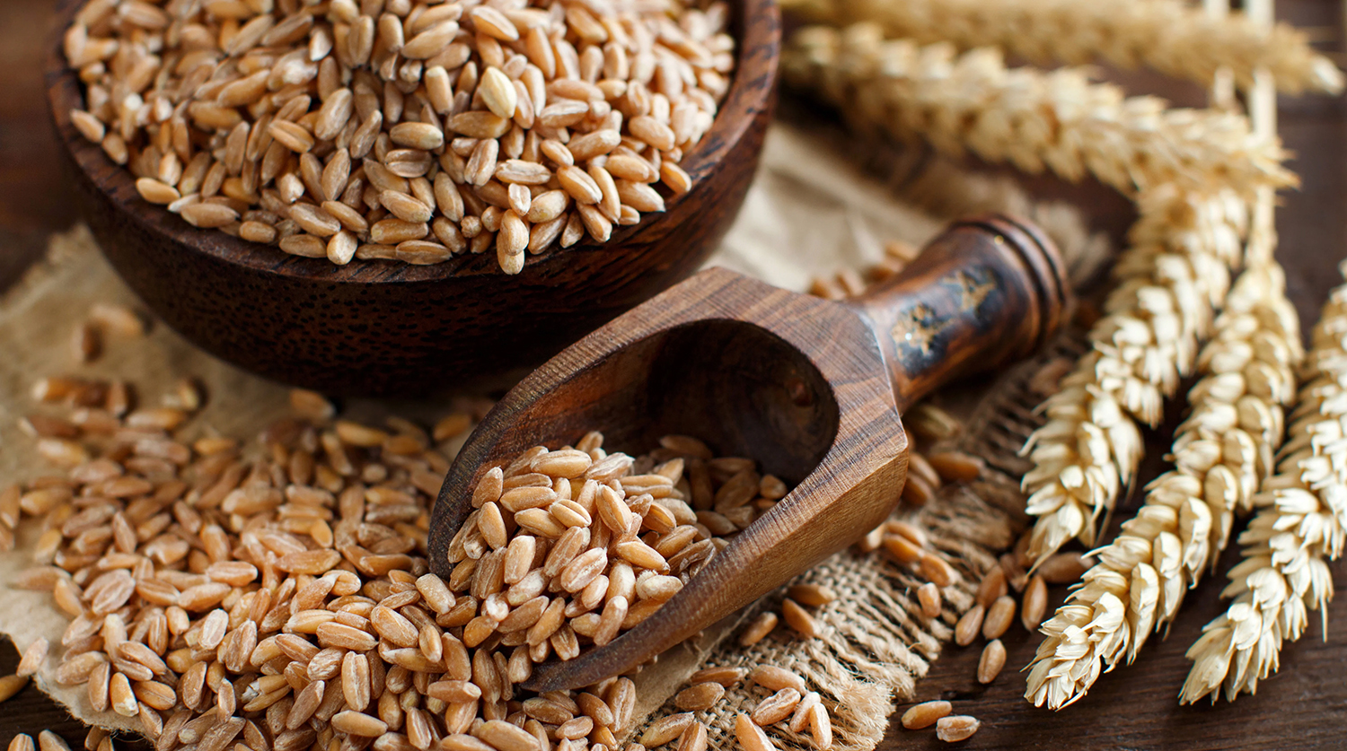 Unibake USA Celebrates Whole Grain Day.jpg